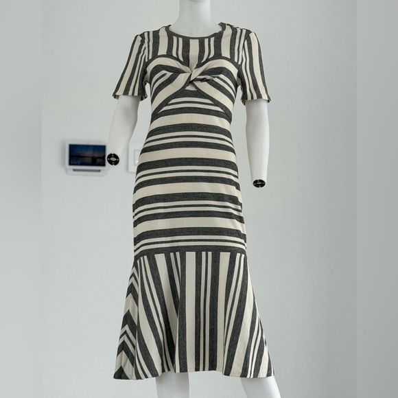NWT BCBG MaxAzria Gray & White Striped Twist Front  Midi dress Size  S - Picture 1 of 12